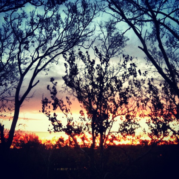 red sky in the morning