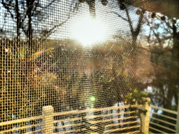 through a screen